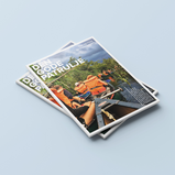 Den Gode Patrulje (trop)